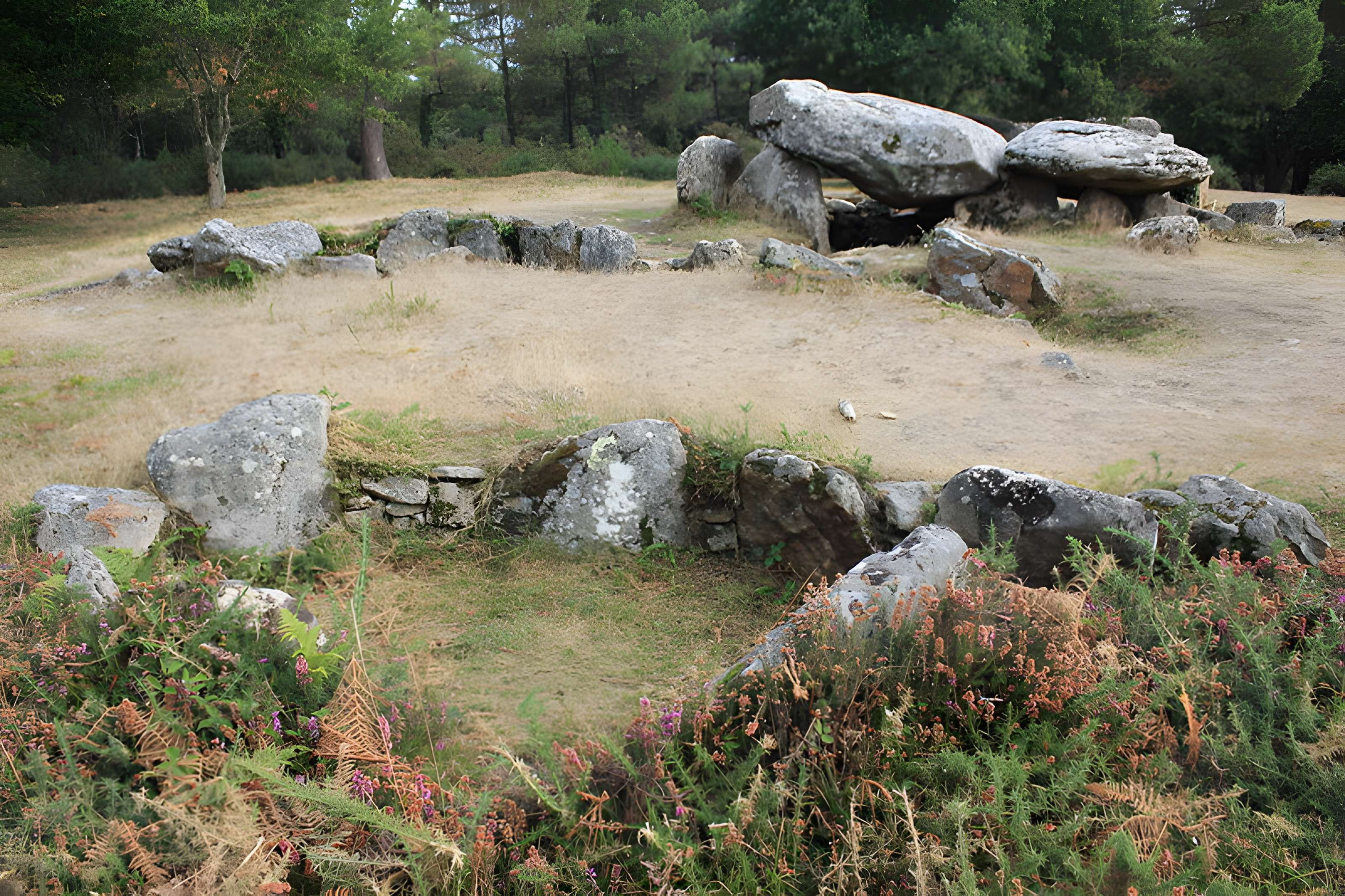 Dolmens de Mané-Bras dits Lann-Mané-Bras