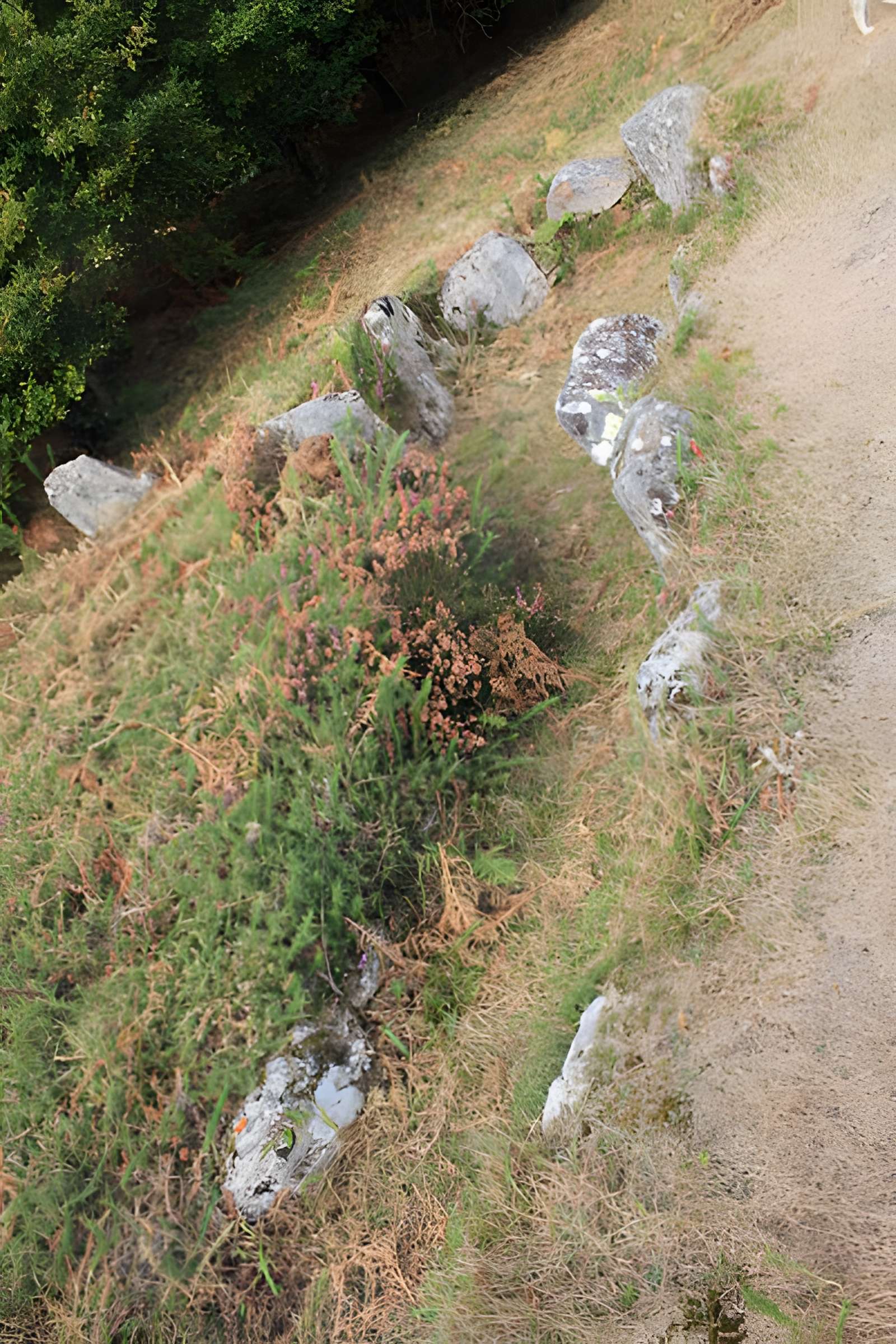 Dolmens de Mané-Bras dits Lann-Mané-Bras