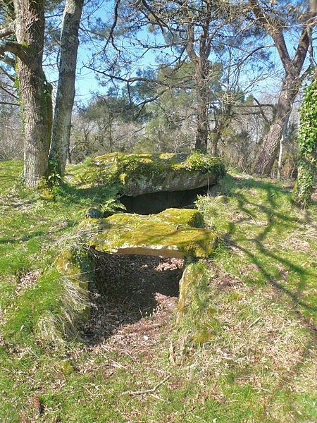 Photo de Dolmens de Mané-Kervilor à La Trinité-sur-Mer