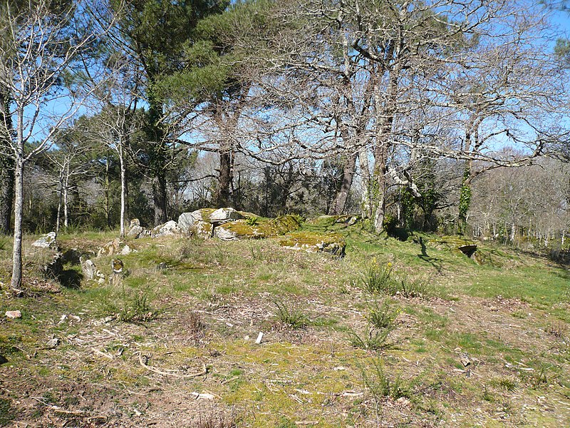 Dolmens de Mané-Kervilor à La Trinité-sur-Mer