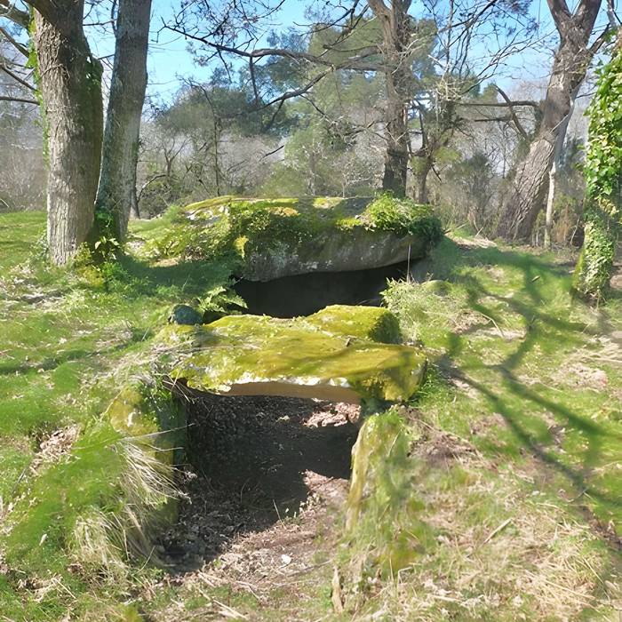 Photo de Dolmens de Mané-Kervilor à La Trinité-sur-Mer