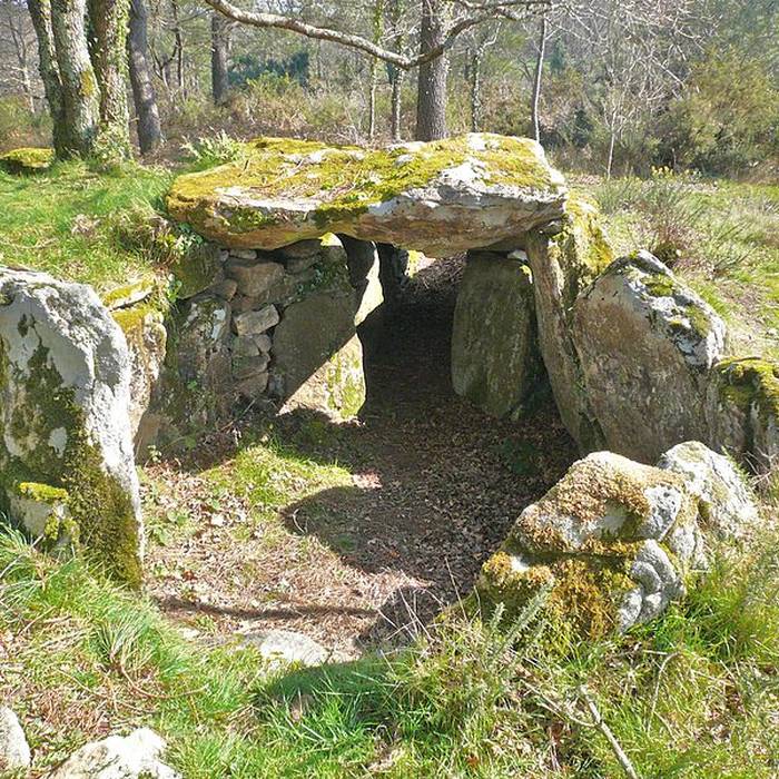 Photo de Dolmens de Mané-Kervilor à La Trinité-sur-Mer