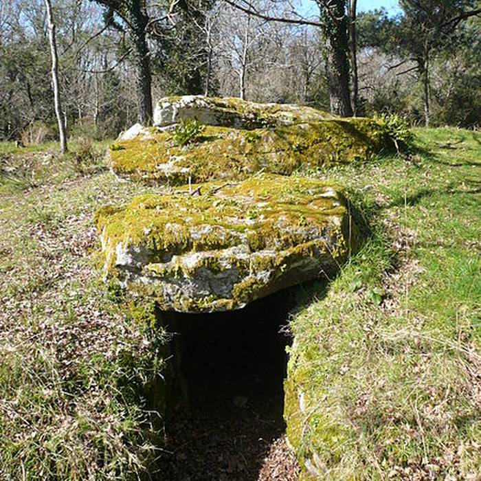 Photo de Dolmens de Mané-Kervilor à La Trinité-sur-Mer