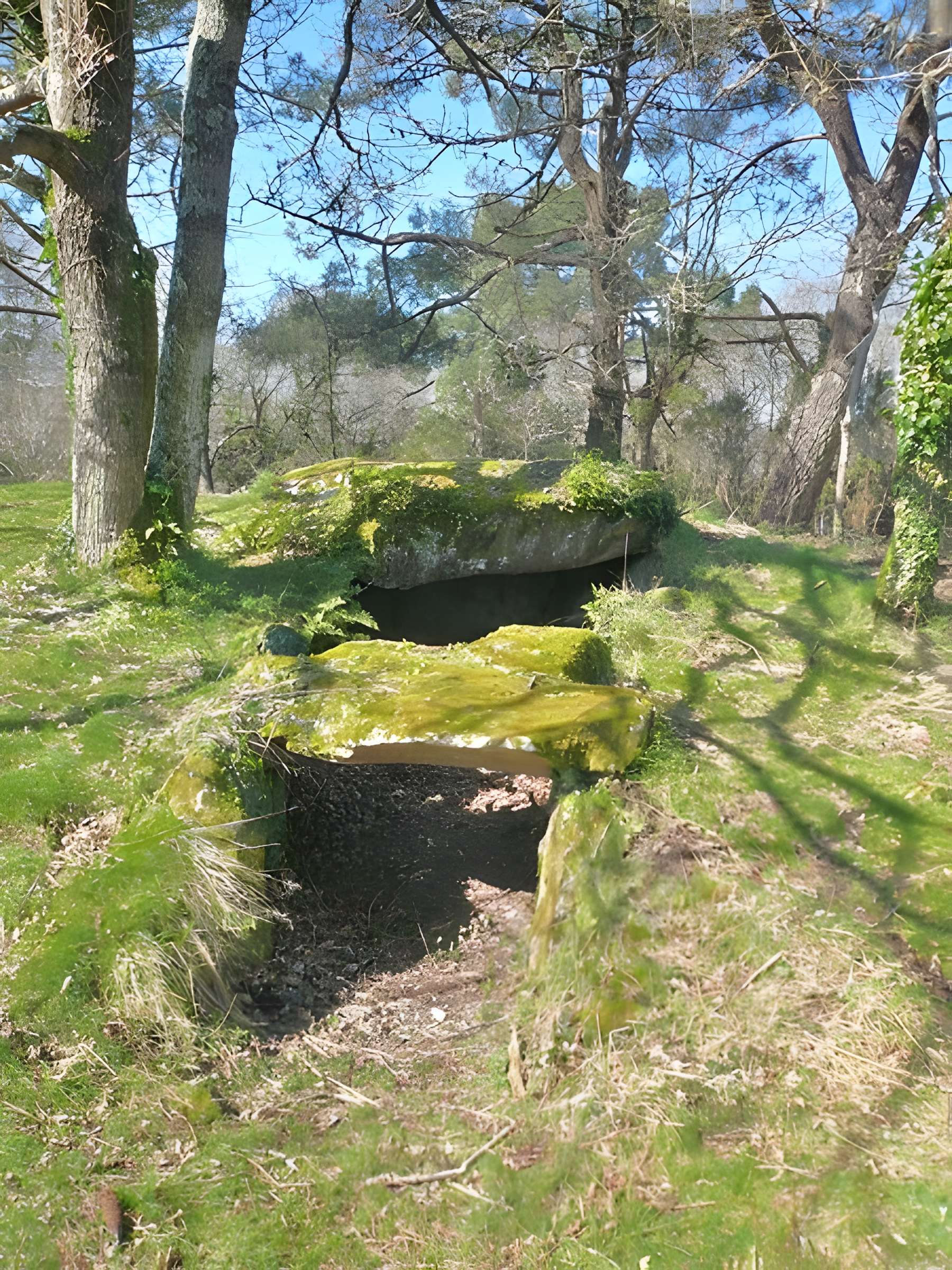 Dolmens de Mané-Kervilor à La Trinité-sur-Mer 