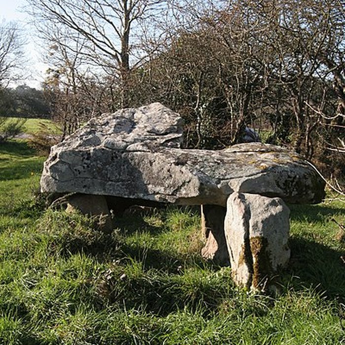 Photo de Dolmens de Roh-Vras à Saint-Philibert