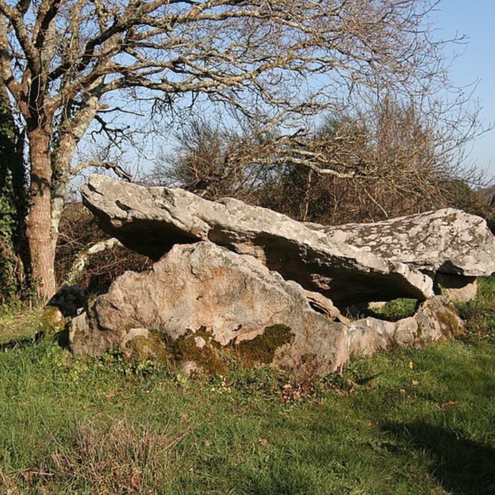 Photo de Dolmens de Roh-Vras à Saint-Philibert