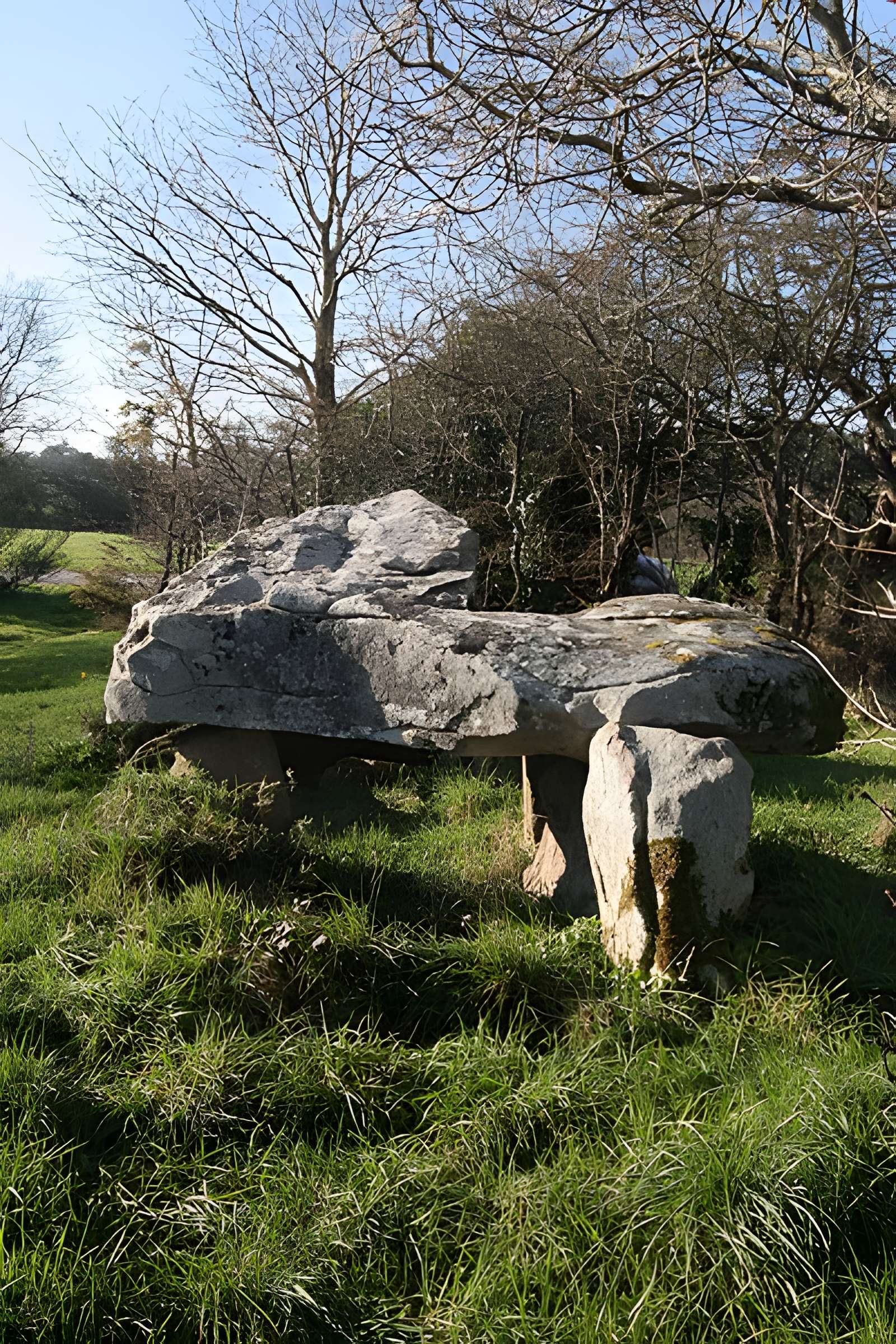 Dolmens de Roh-Vras à Saint-Philibert