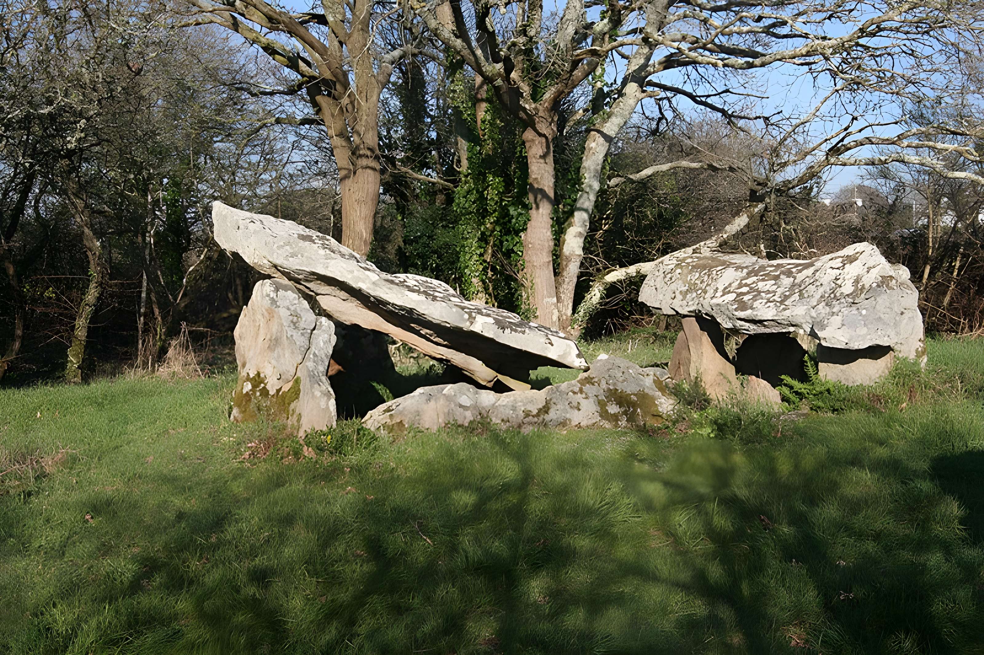 Dolmens de Roh-Vras à Saint-Philibert