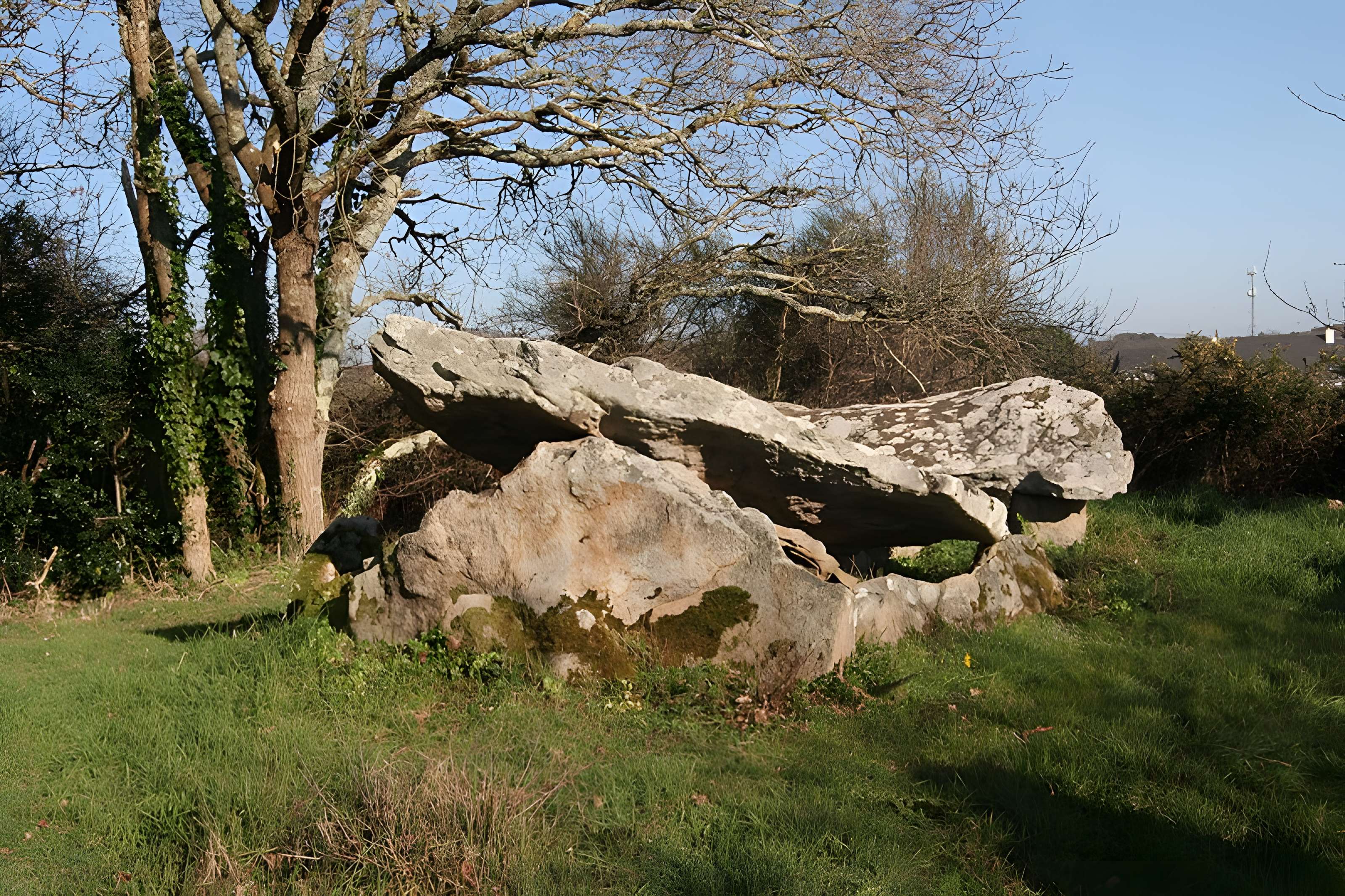 Dolmens de Roh-Vras à Saint-Philibert