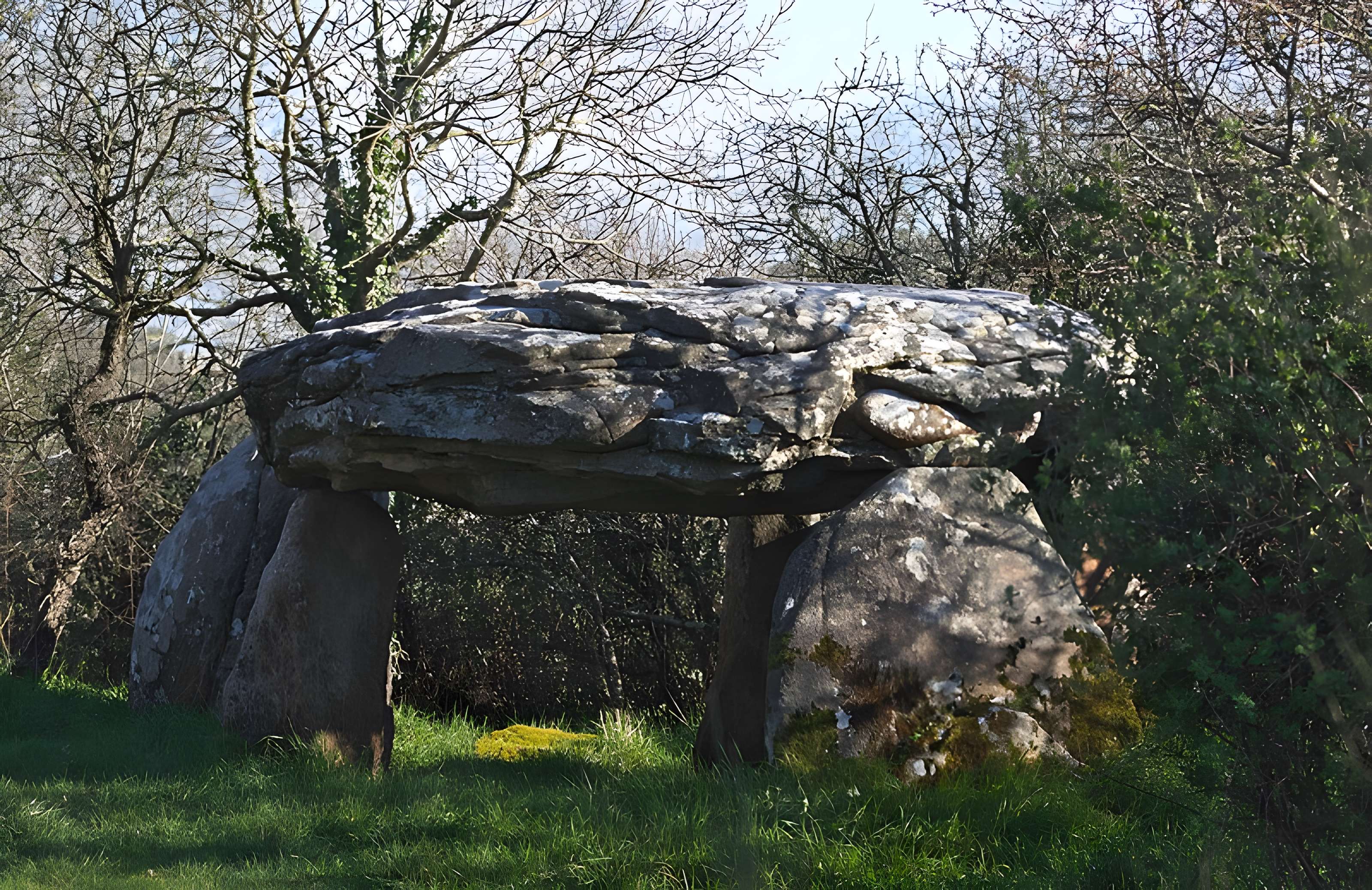 Dolmens de Roh-Vras à Saint-Philibert
