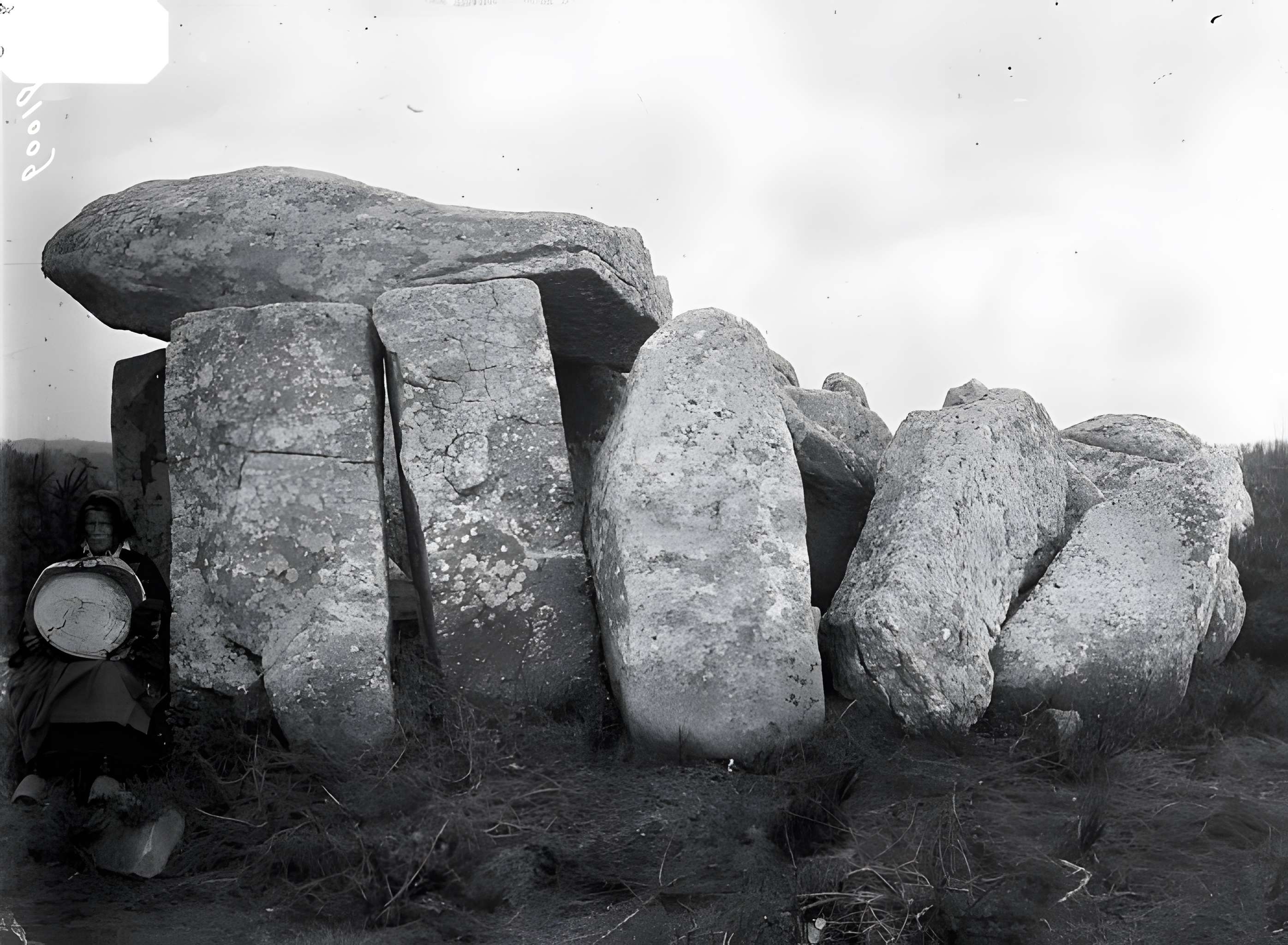 Dolmens de Roh-Vras à Saint-Philibert