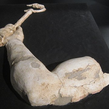 Domaine archéologique de Mané-Véchen à Plouhinec