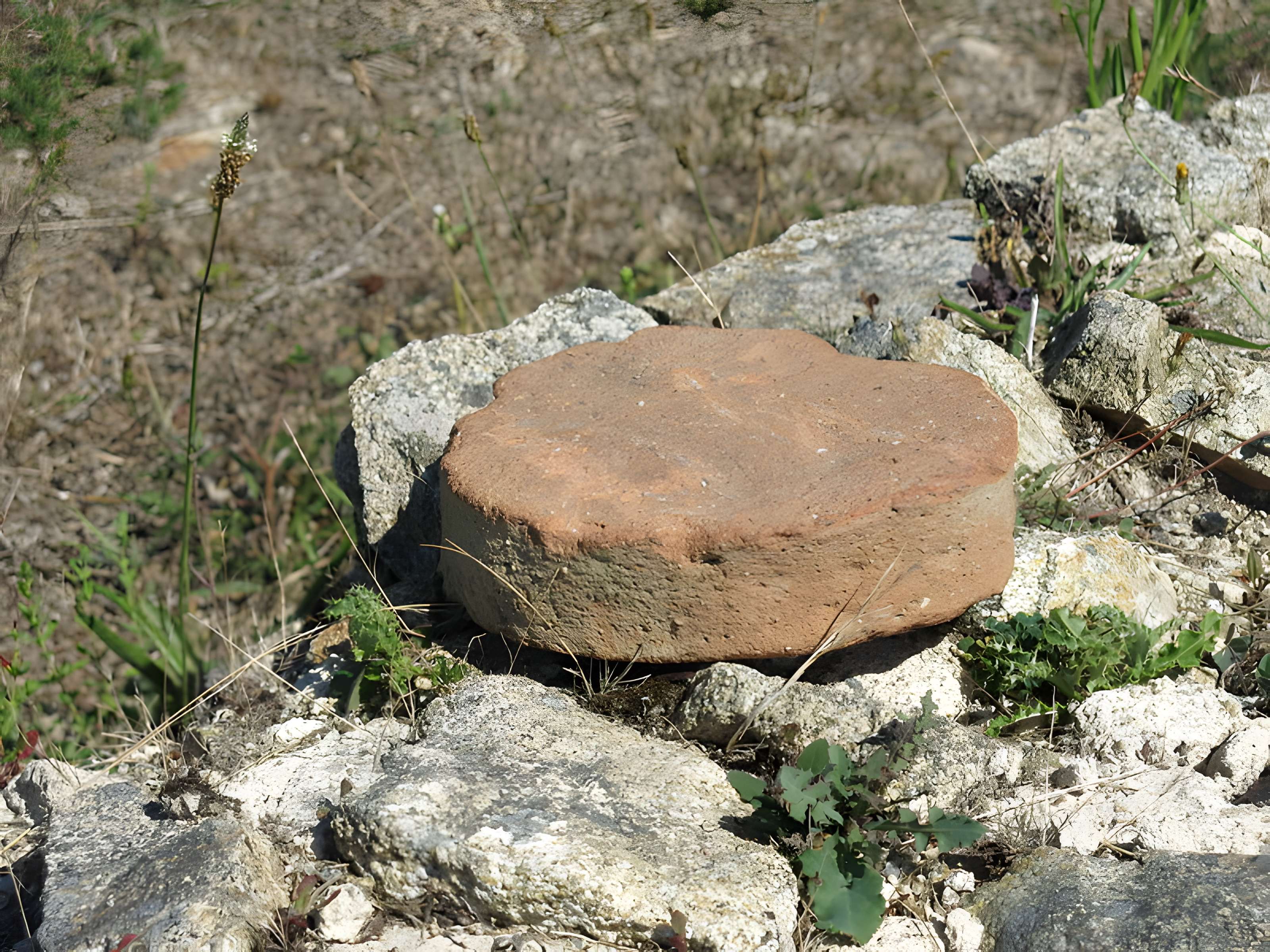 Domaine archéologique de Mané-Véchen à Plouhinec