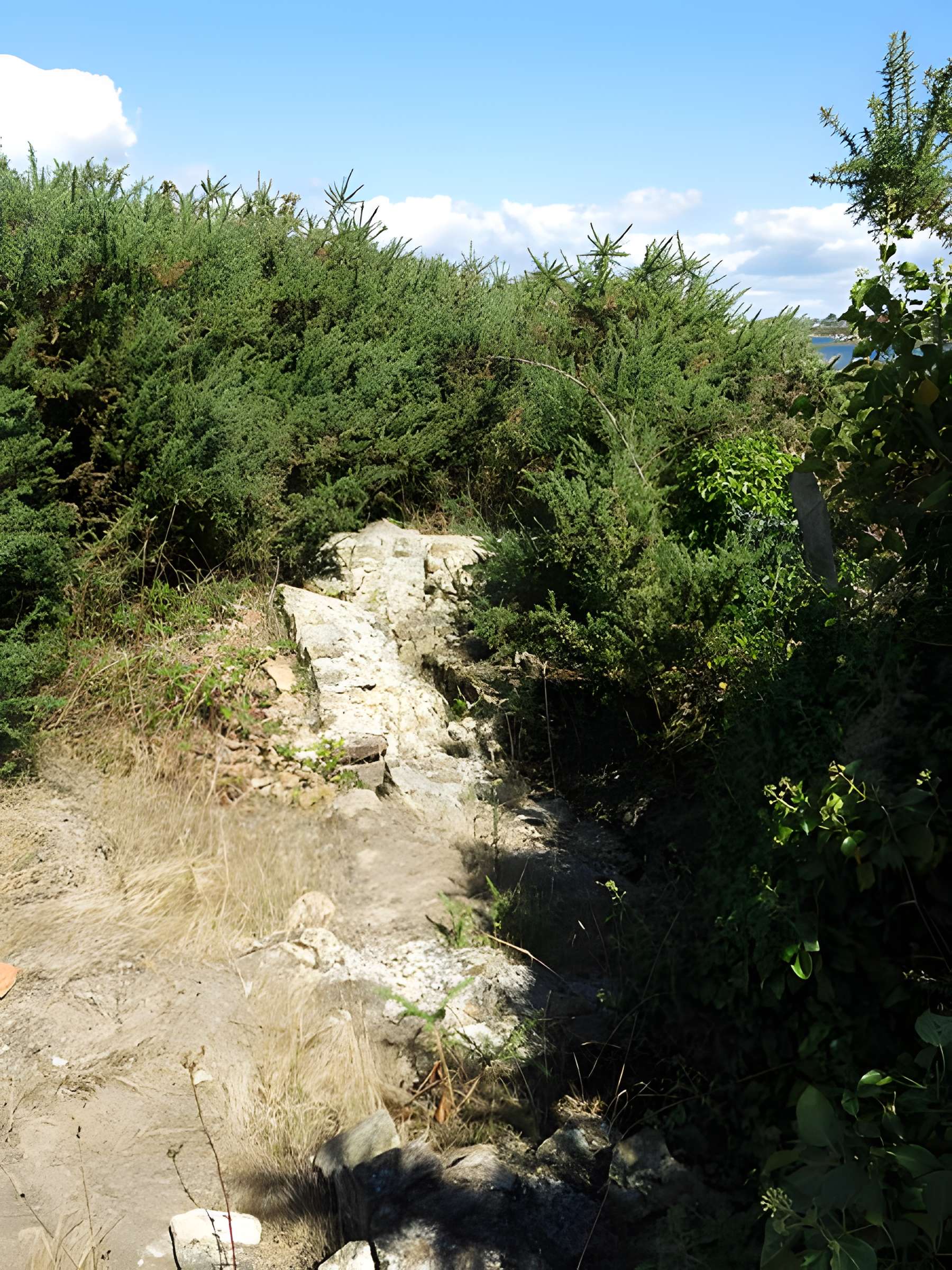 Domaine archéologique de Mané-Véchen à Plouhinec