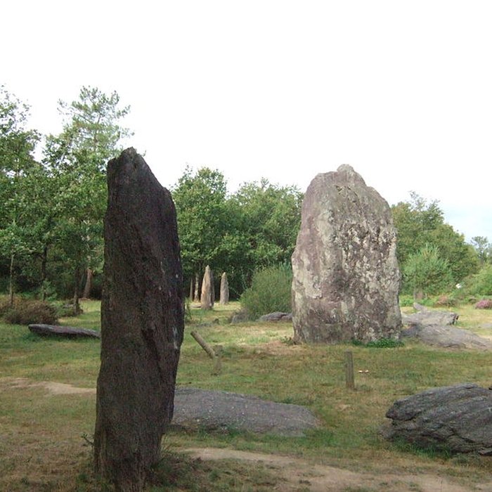 Photo de Domaine mégalithique des Pierres droites de Monteneuf