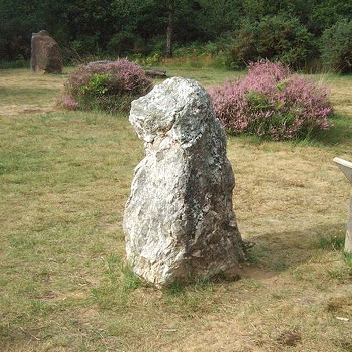 Photo de Domaine mégalithique des Pierres droites de Monteneuf