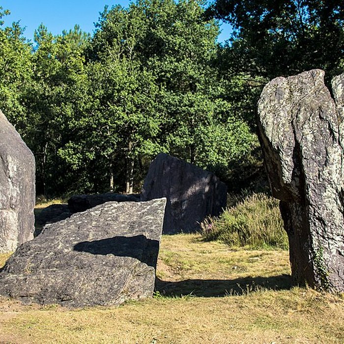 Photo de Domaine mégalithique des Pierres droites de Monteneuf