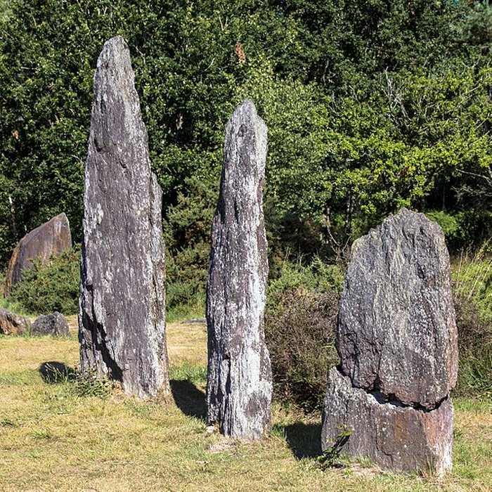 Photo de Domaine mégalithique des Pierres droites de Monteneuf