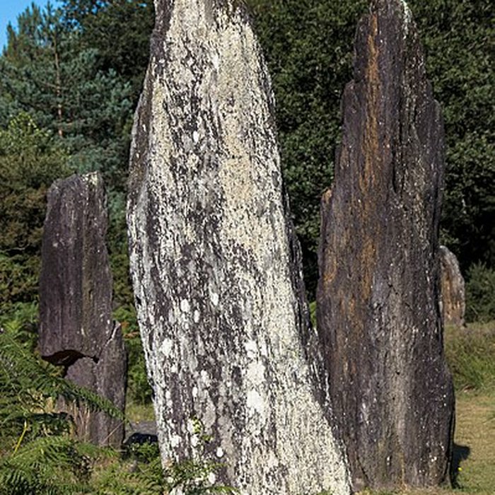 Photo de Domaine mégalithique des Pierres droites de Monteneuf