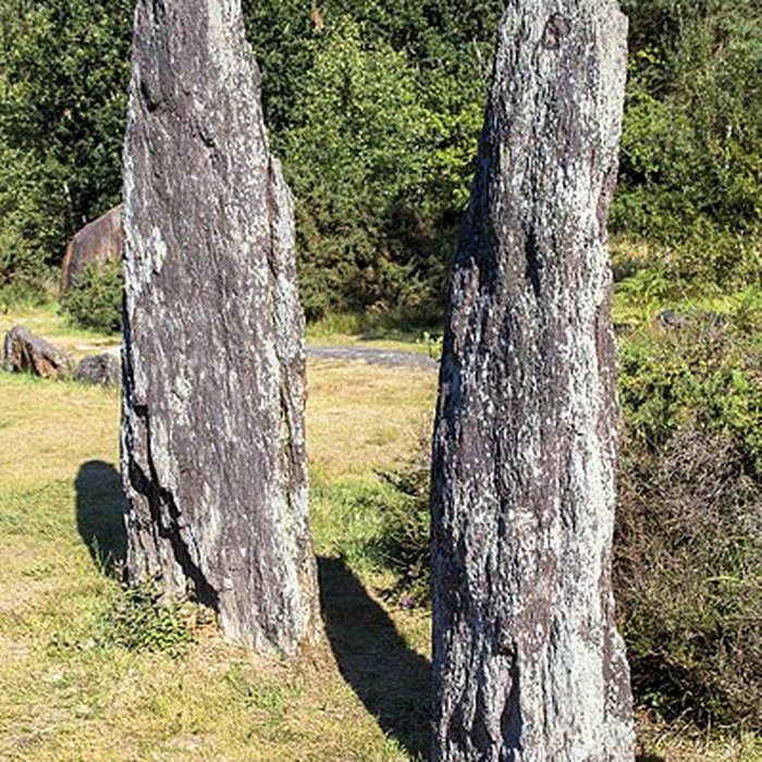 Photo de Domaine mégalithique des Pierres droites de Monteneuf