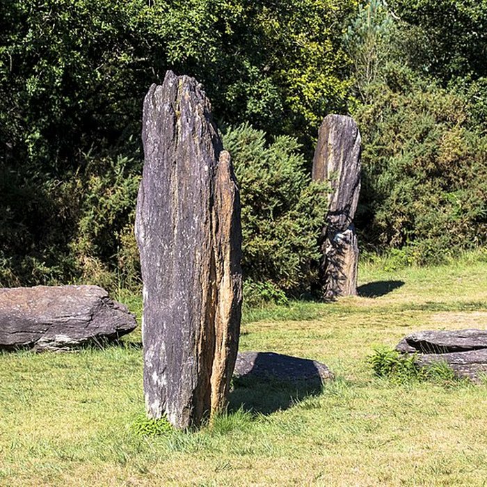 Photo de Domaine mégalithique des Pierres droites de Monteneuf