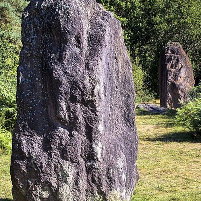 Photo de Domaine mégalithique des Pierres droites de Monteneuf