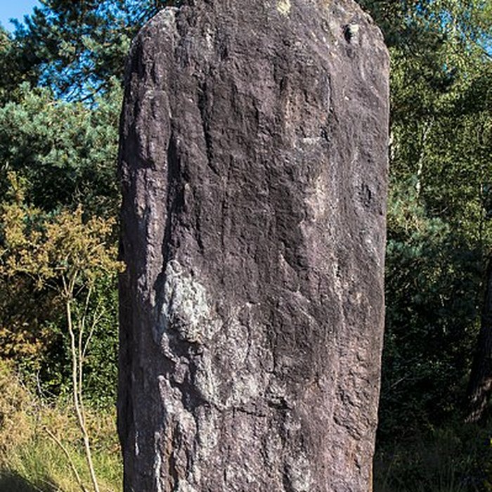 Photo de Domaine mégalithique des Pierres droites de Monteneuf