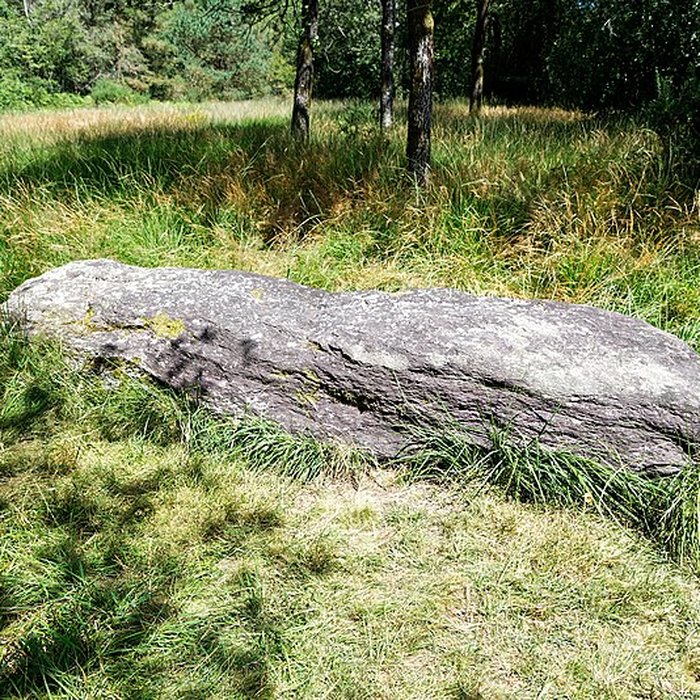 Photo de Domaine mégalithique des Pierres droites de Monteneuf