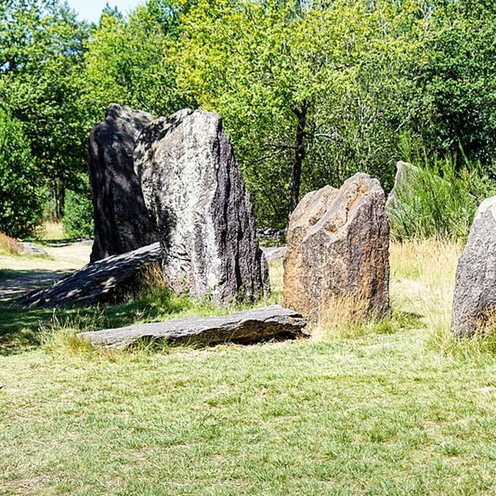 Photo de Domaine mégalithique des Pierres droites de Monteneuf