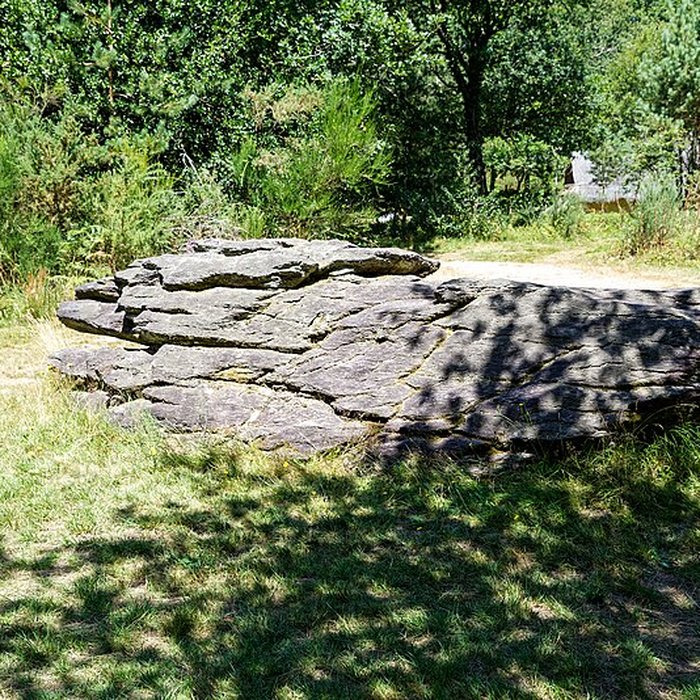 Photo de Domaine mégalithique des Pierres droites de Monteneuf
