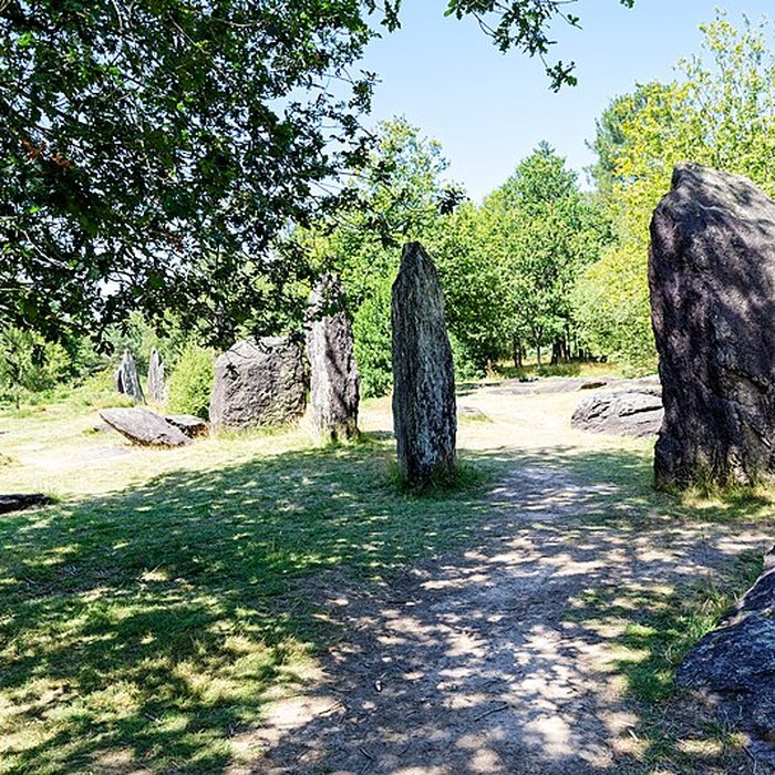 Photo de Domaine mégalithique des Pierres droites de Monteneuf
