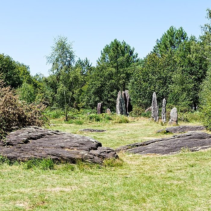 Photo de Domaine mégalithique des Pierres droites de Monteneuf