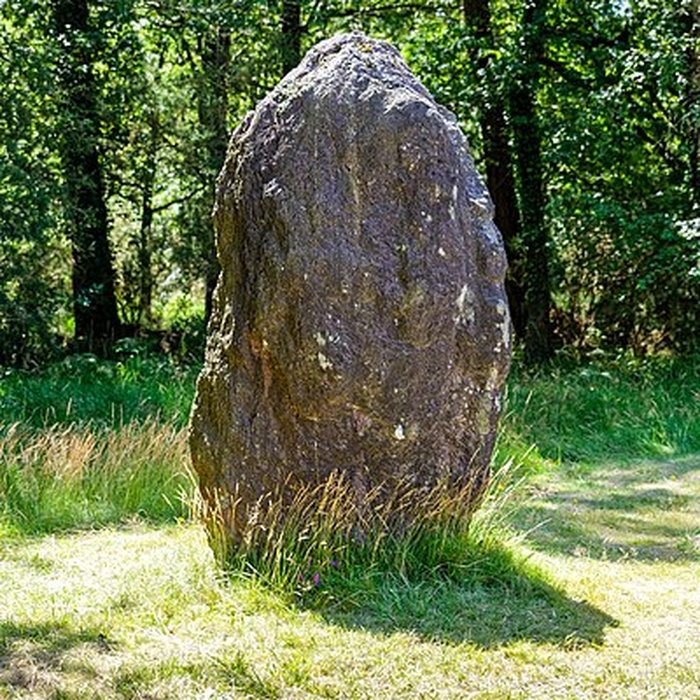 Photo de Domaine mégalithique des Pierres droites de Monteneuf