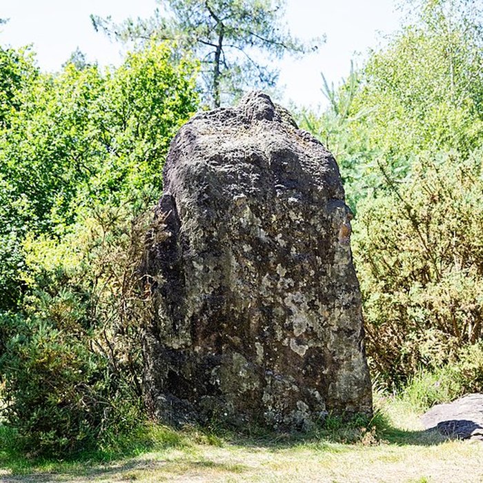 Photo de Domaine mégalithique des Pierres droites de Monteneuf