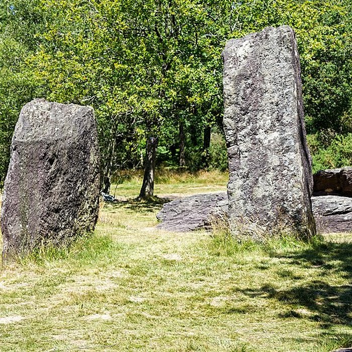 Photo de Domaine mégalithique des Pierres droites de Monteneuf