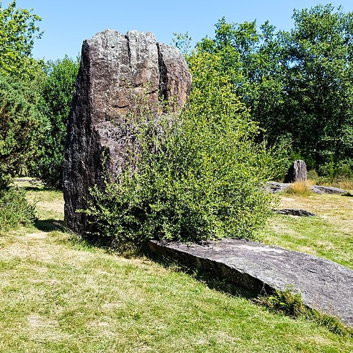 Photo de Domaine mégalithique des Pierres droites de Monteneuf
