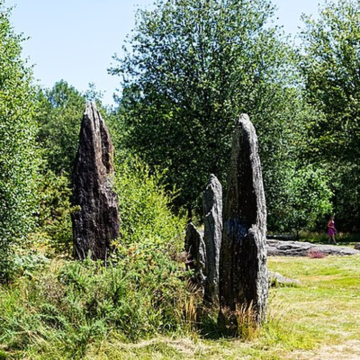 Photo de Domaine mégalithique des Pierres droites de Monteneuf