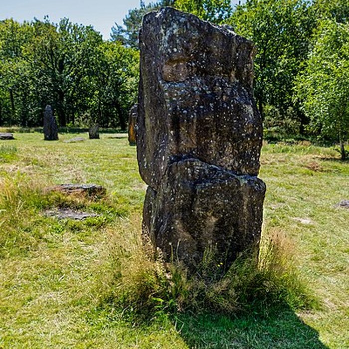 Photo de Domaine mégalithique des Pierres droites de Monteneuf