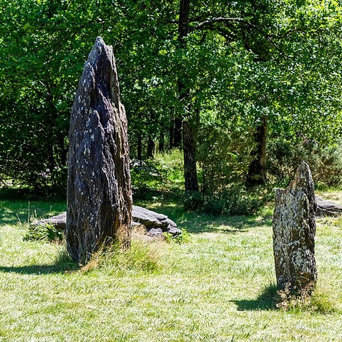 Photo de Domaine mégalithique des Pierres droites de Monteneuf