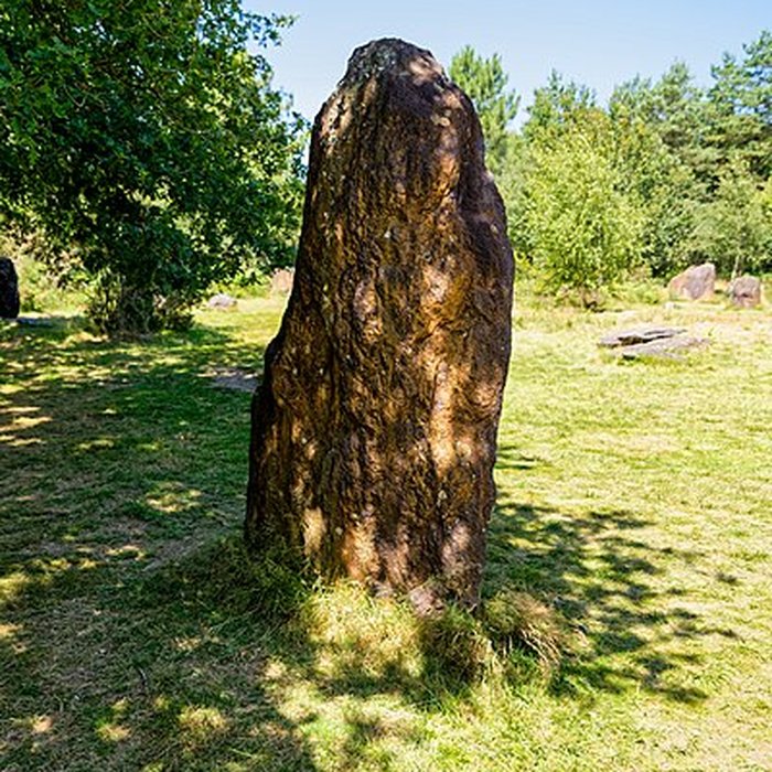 Photo de Domaine mégalithique des Pierres droites de Monteneuf