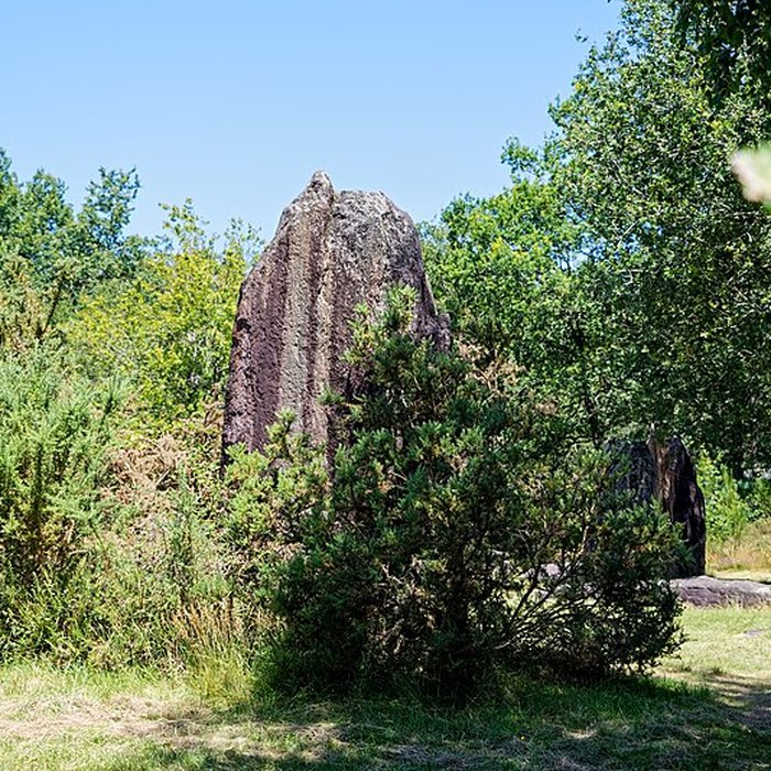 Photo de Domaine mégalithique des Pierres droites de Monteneuf