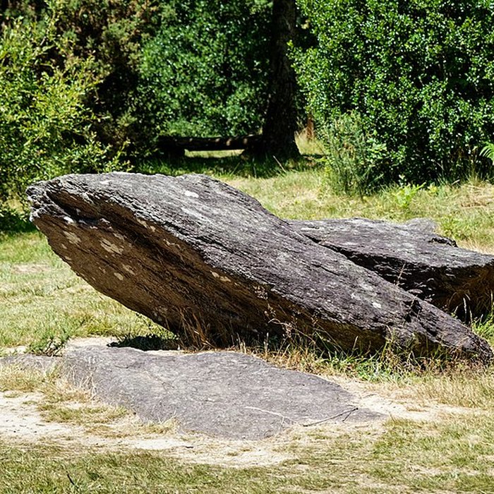 Photo de Domaine mégalithique des Pierres droites de Monteneuf