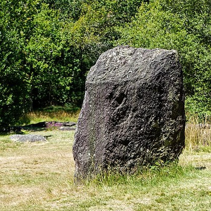 Photo de Domaine mégalithique des Pierres droites de Monteneuf