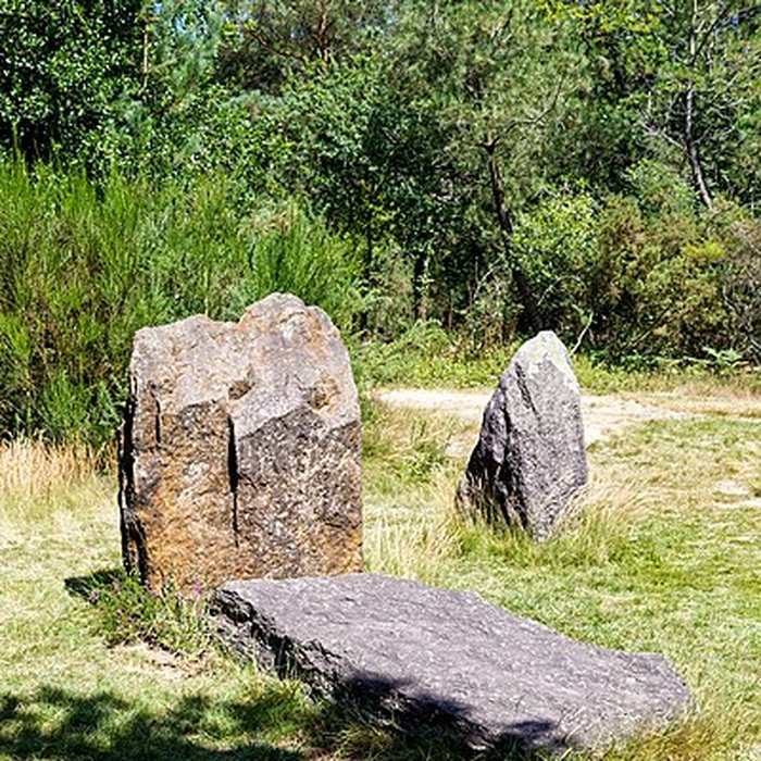 Photo de Domaine mégalithique des Pierres droites de Monteneuf