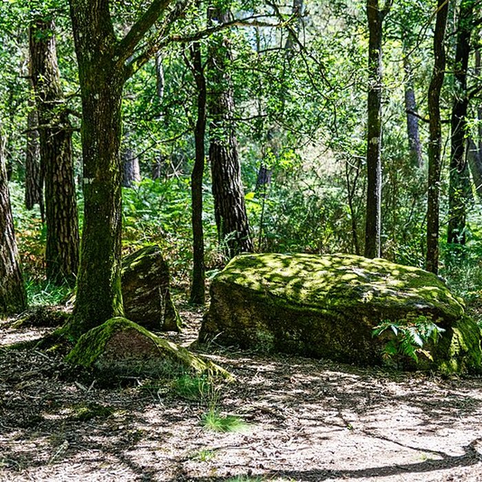 Photo de Domaine mégalithique des Pierres droites de Monteneuf