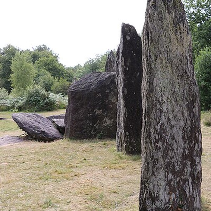 Photo de Domaine mégalithique des Pierres droites de Monteneuf