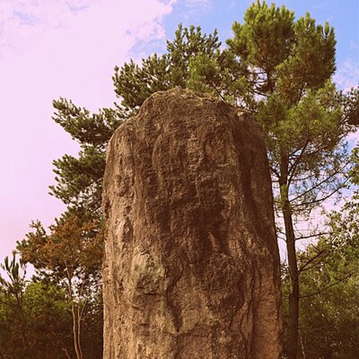 Photo de Domaine mégalithique des Pierres droites de Monteneuf