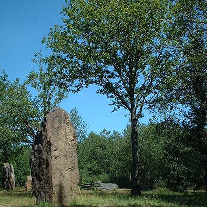 Photo de Domaine mégalithique des Pierres droites de Monteneuf