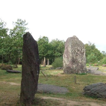 Domaine mégalithique des Pierres droites de Monteneuf