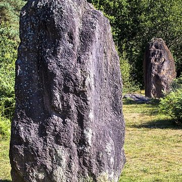 Domaine mégalithique des Pierres droites de Monteneuf